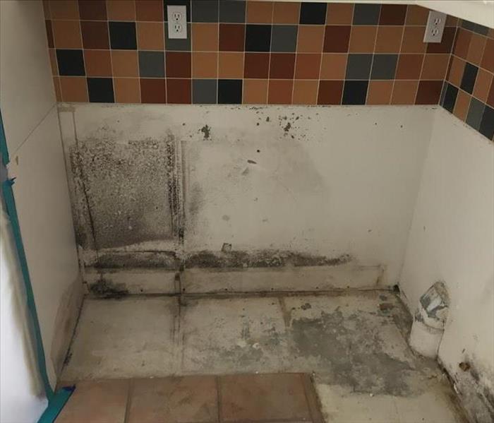 kitchen with exposed mold