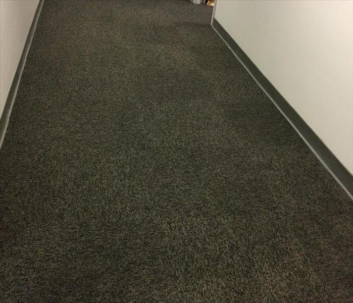 Commercial office hallway with dampened carpet from pipe leak