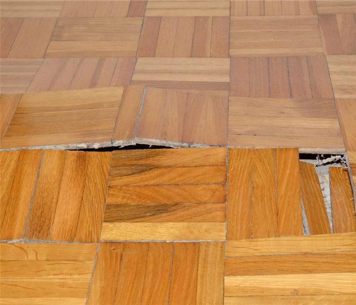 wood floor rising from water damage