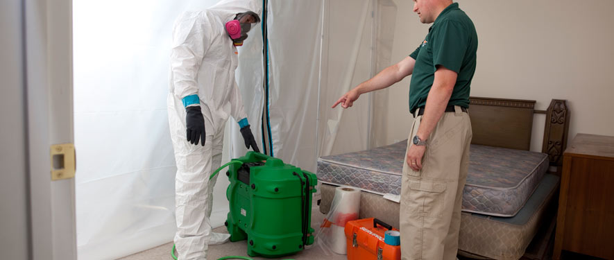Lake Forest, CA mold removal process